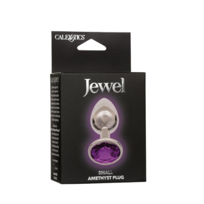 Plug Anal Tipo Joya Círculo Morado Pequeño Jewel